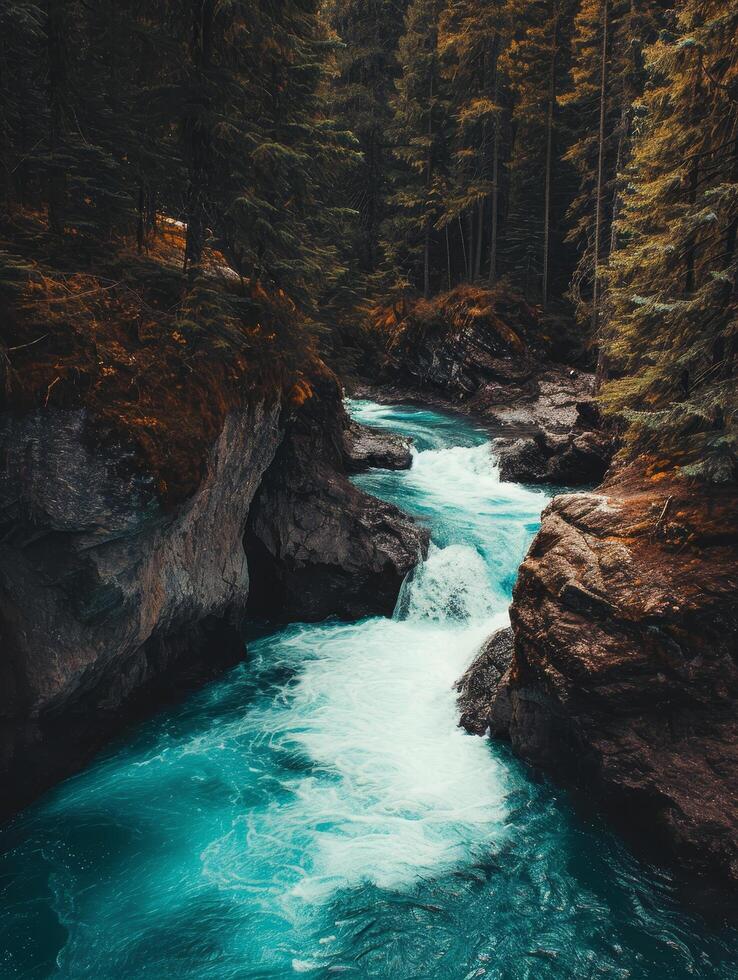 Serene River Flowing Through a Forested Canyon photo