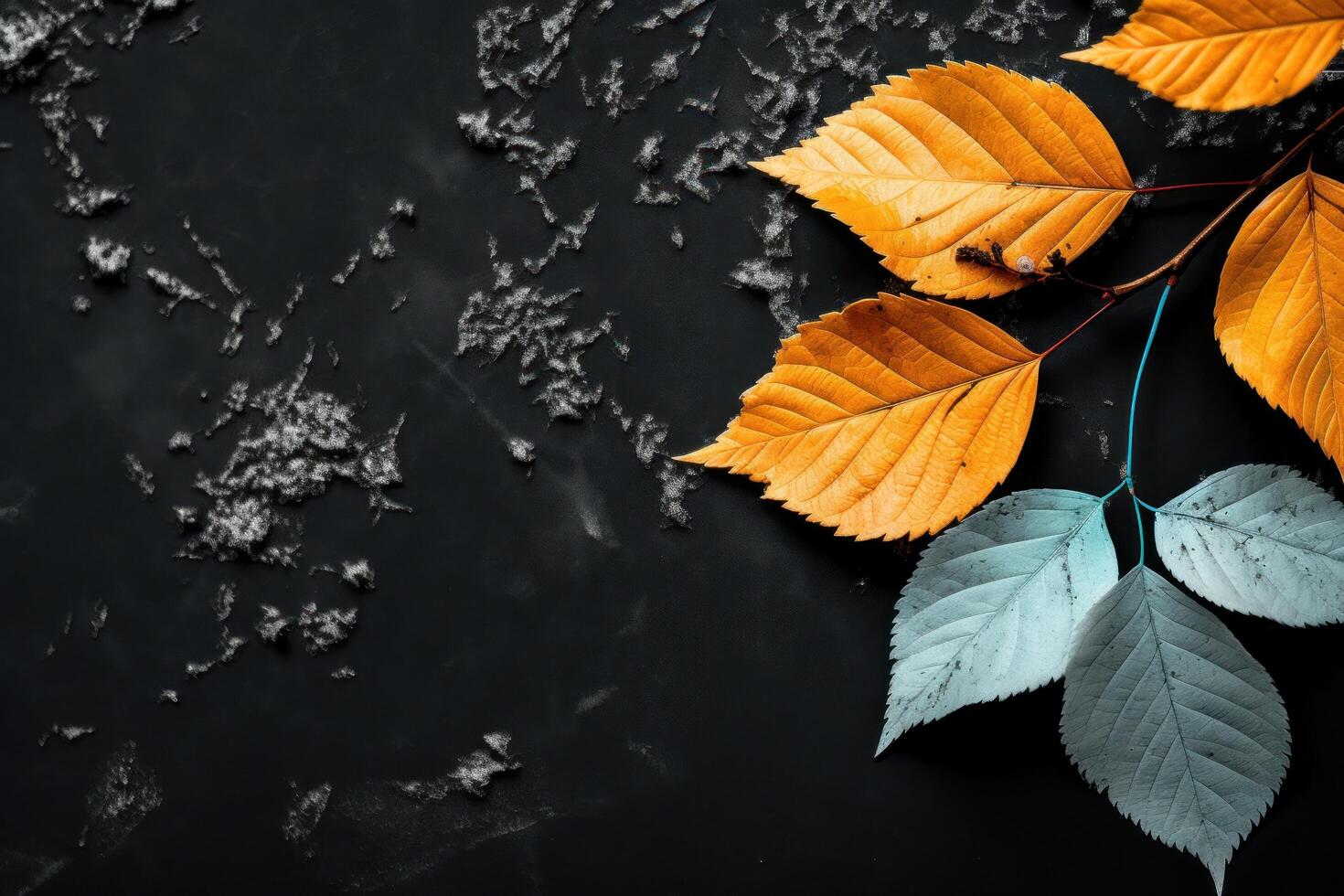 Autumn leaves on a dark background photo