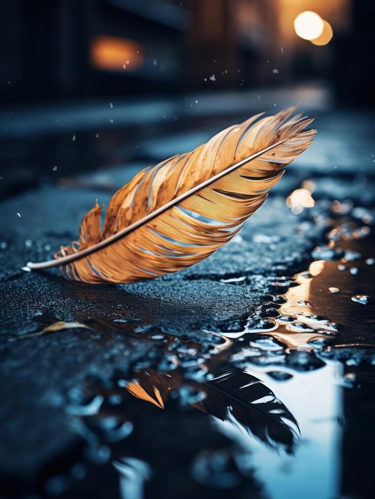 a feather on the ground photo