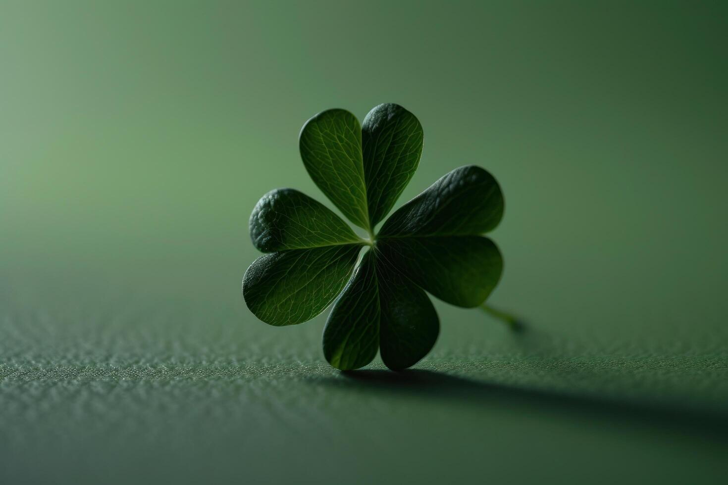 a four leaf clover on a green surface photo