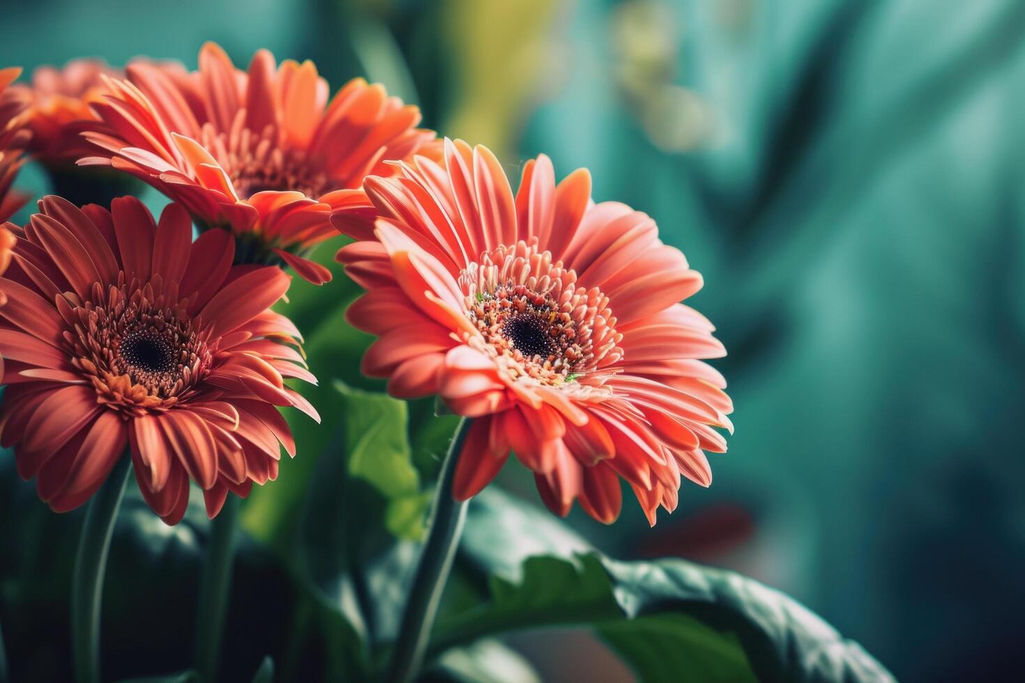 a close up of flowers photo
