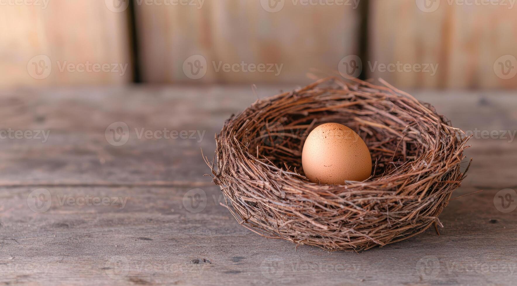 Nest with a single egg on a rustic wooden background photo