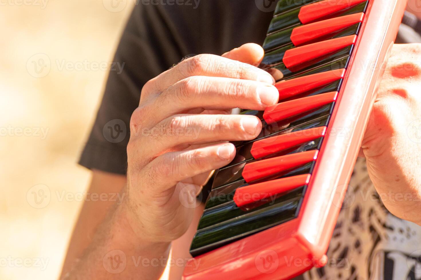 dedos de un músico jugando un melódico flauta, música concepto antecedentes foto