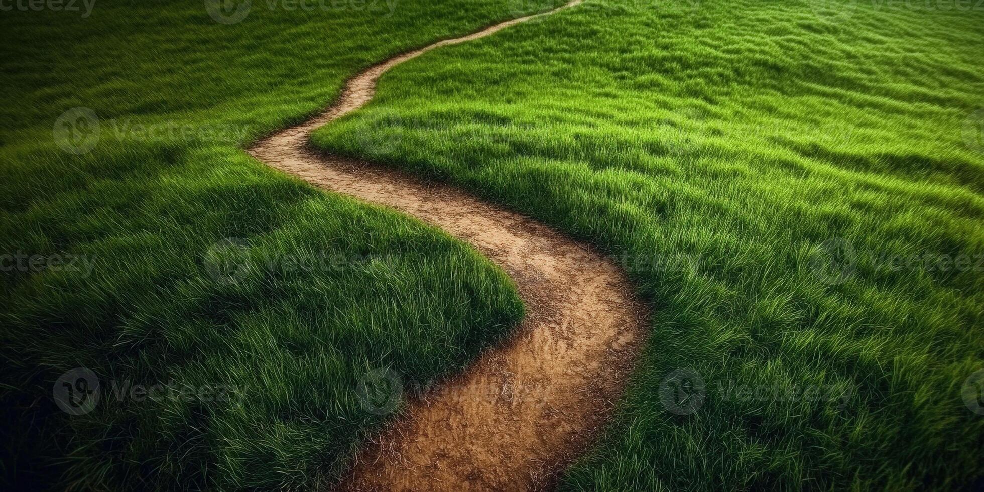 Winding dirt path through lush green grass during daytime photo