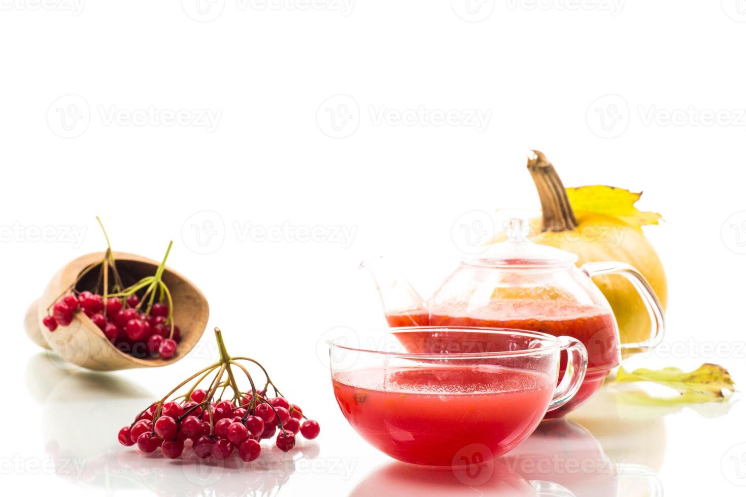 tea from ripe red viburnum isolated on white background photo
