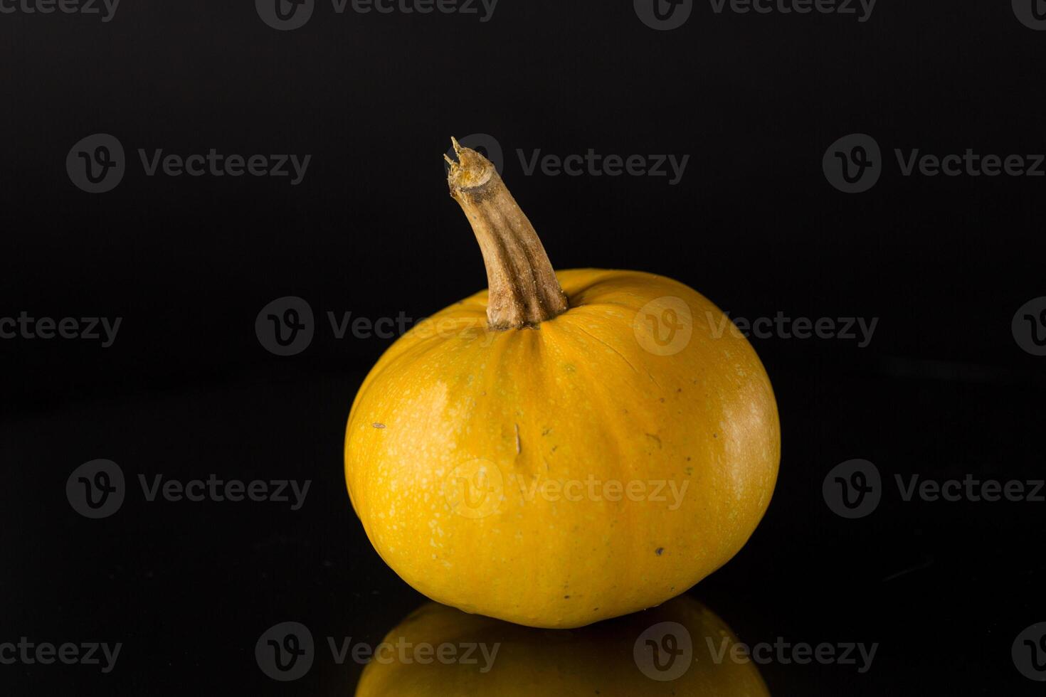 round small pumpkin isolated on black background photo