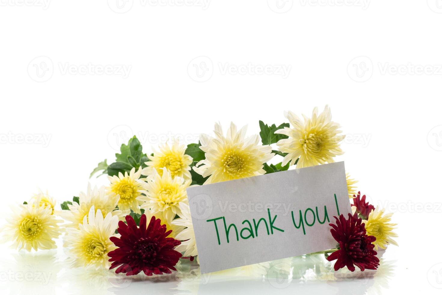 bouquet of yellow and burgundy chrysanthemums isolated on white background photo