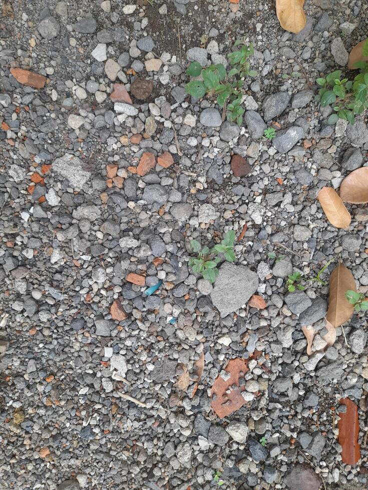 a surface covered with small rocks, gravel, and scattered pieces of debris, such as bits of brick or concrete. photo
