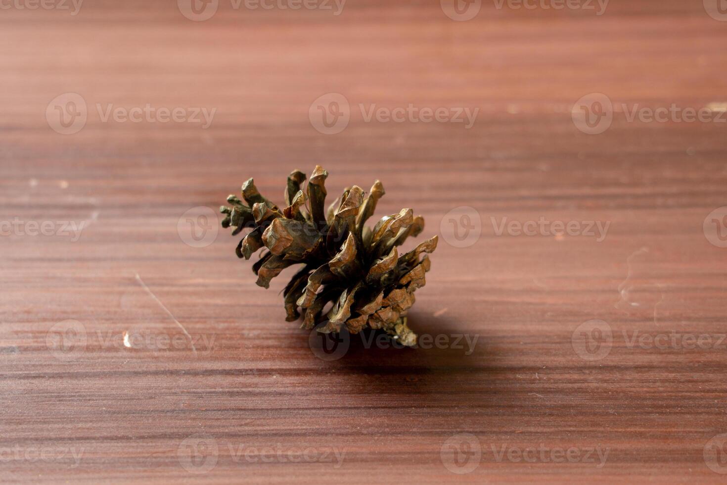 An isolated pine cone placed on a wooden table, showcasing its natural texture and intricate design. The simplicity of the scene highlights the beauty of the pine cone photo