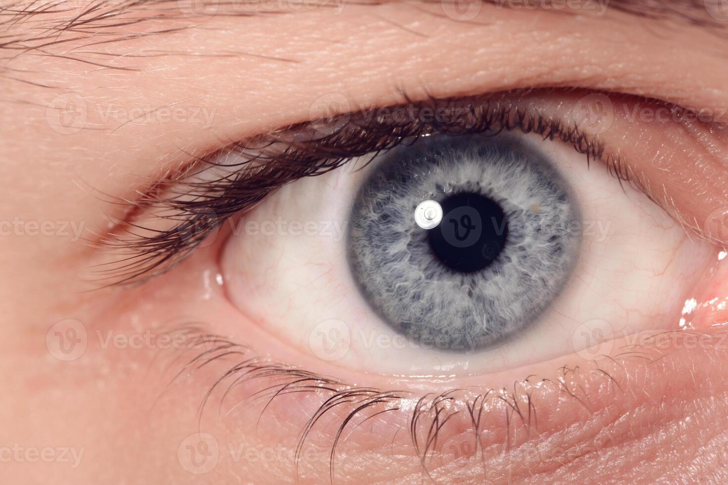 Close Up Of A Man Eyes photo