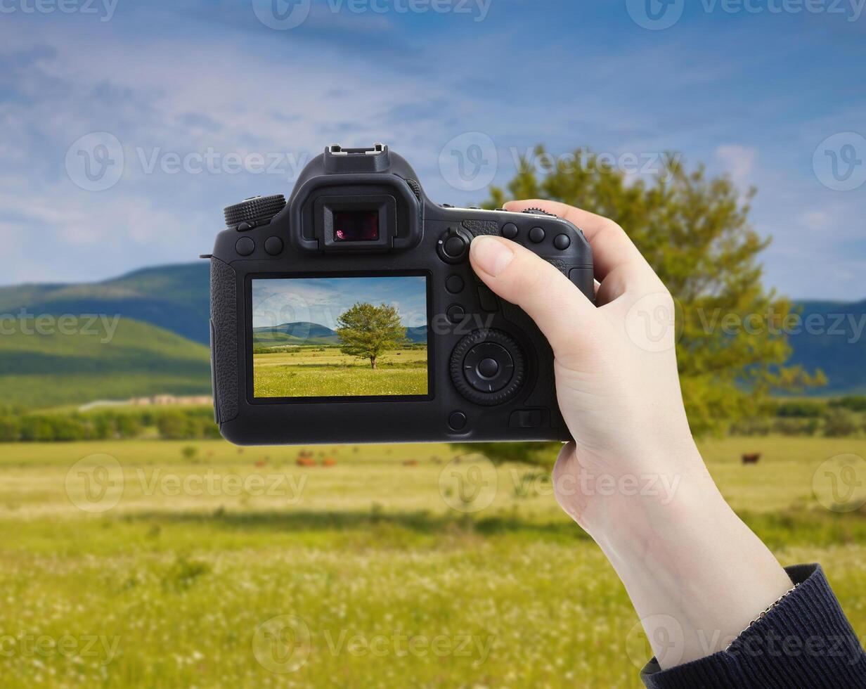 Female hand holding DSLR camera isolated on white photo