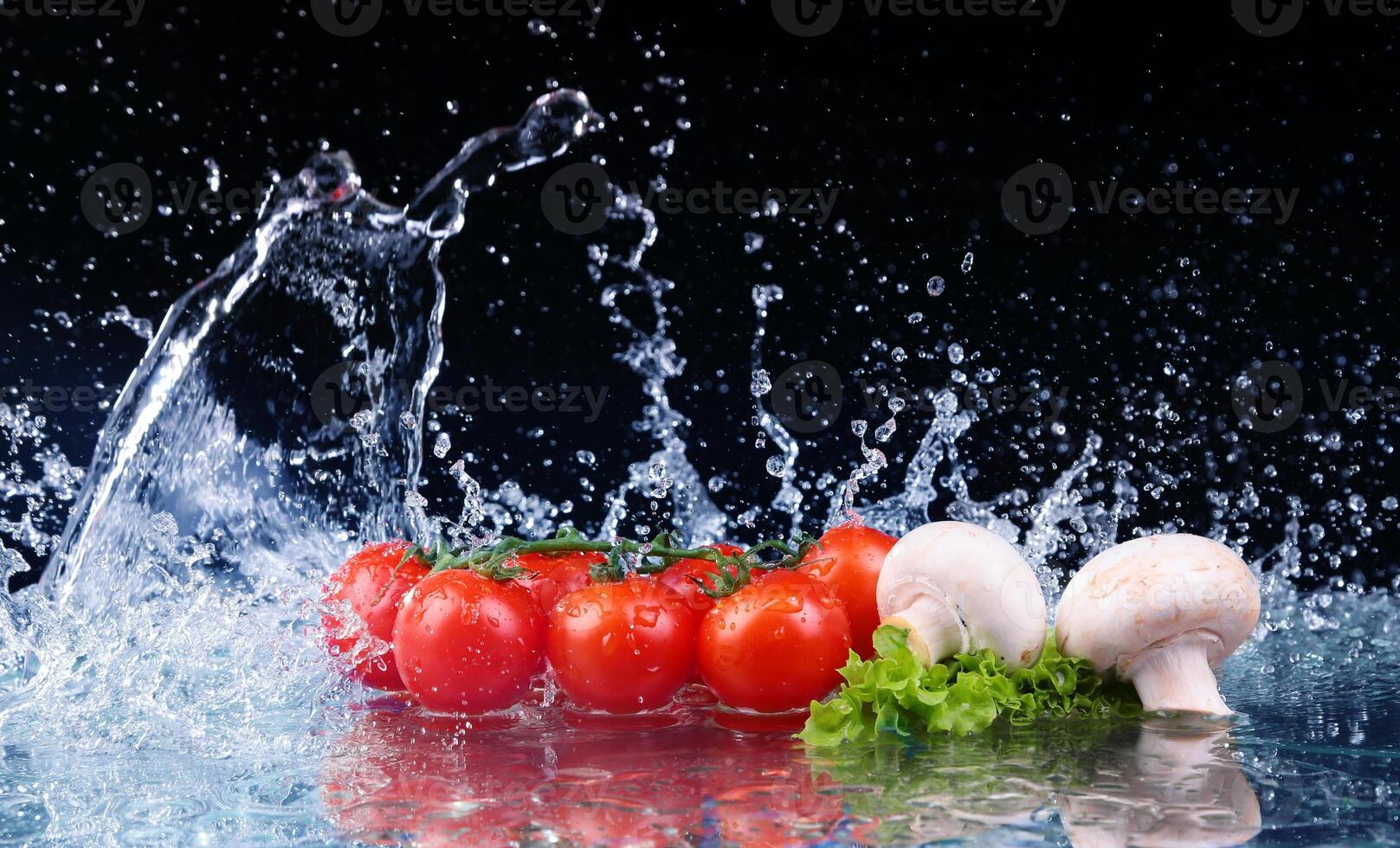 Salad, tomato and with water drop splash photo