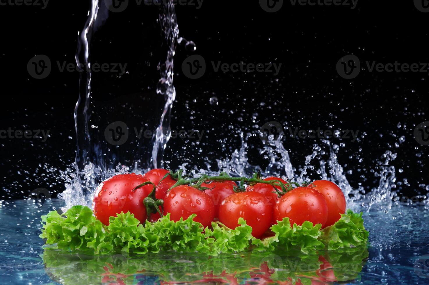 Salad, tomato and with water drop splash photo