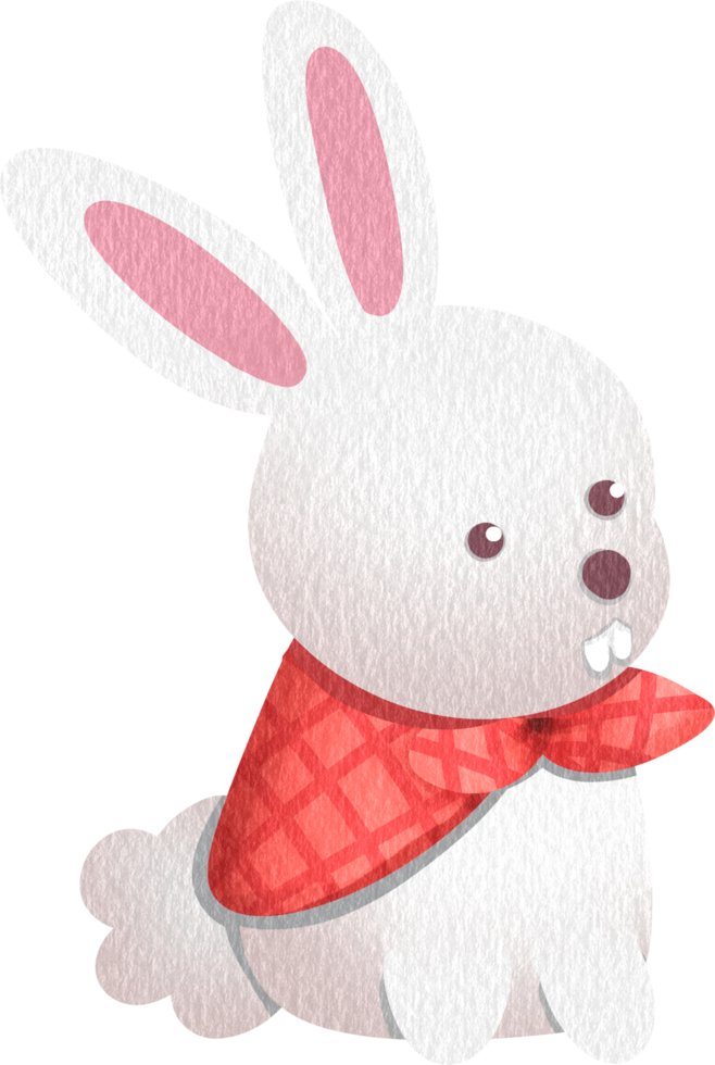 the Bunny behavior png