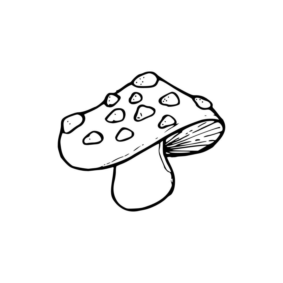 cartoon of mushroom uncolored vector