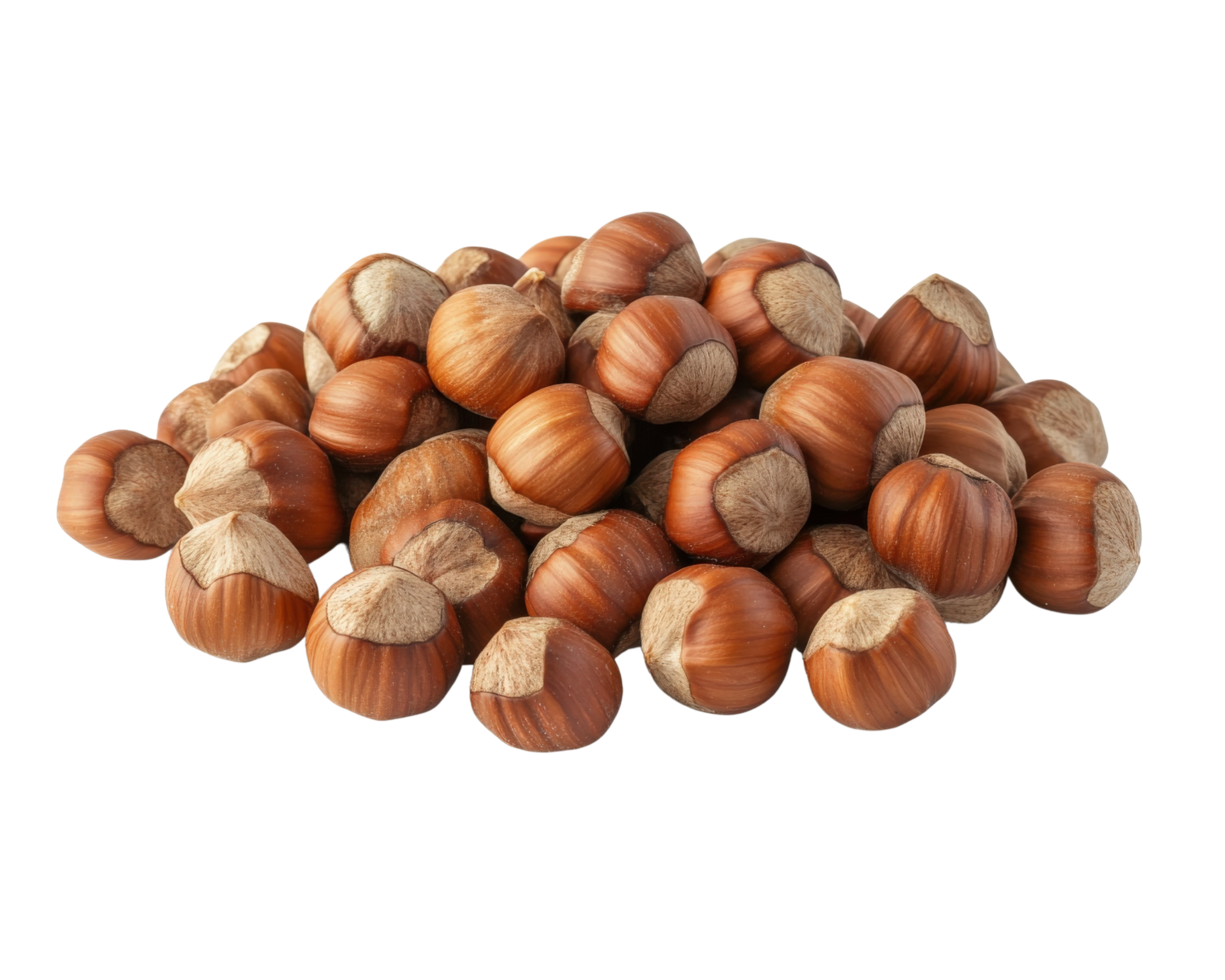 pile of hazelnuts with brown shells, showcasing their natural texture and color. Perfect for culinary uses or as healthy snack png