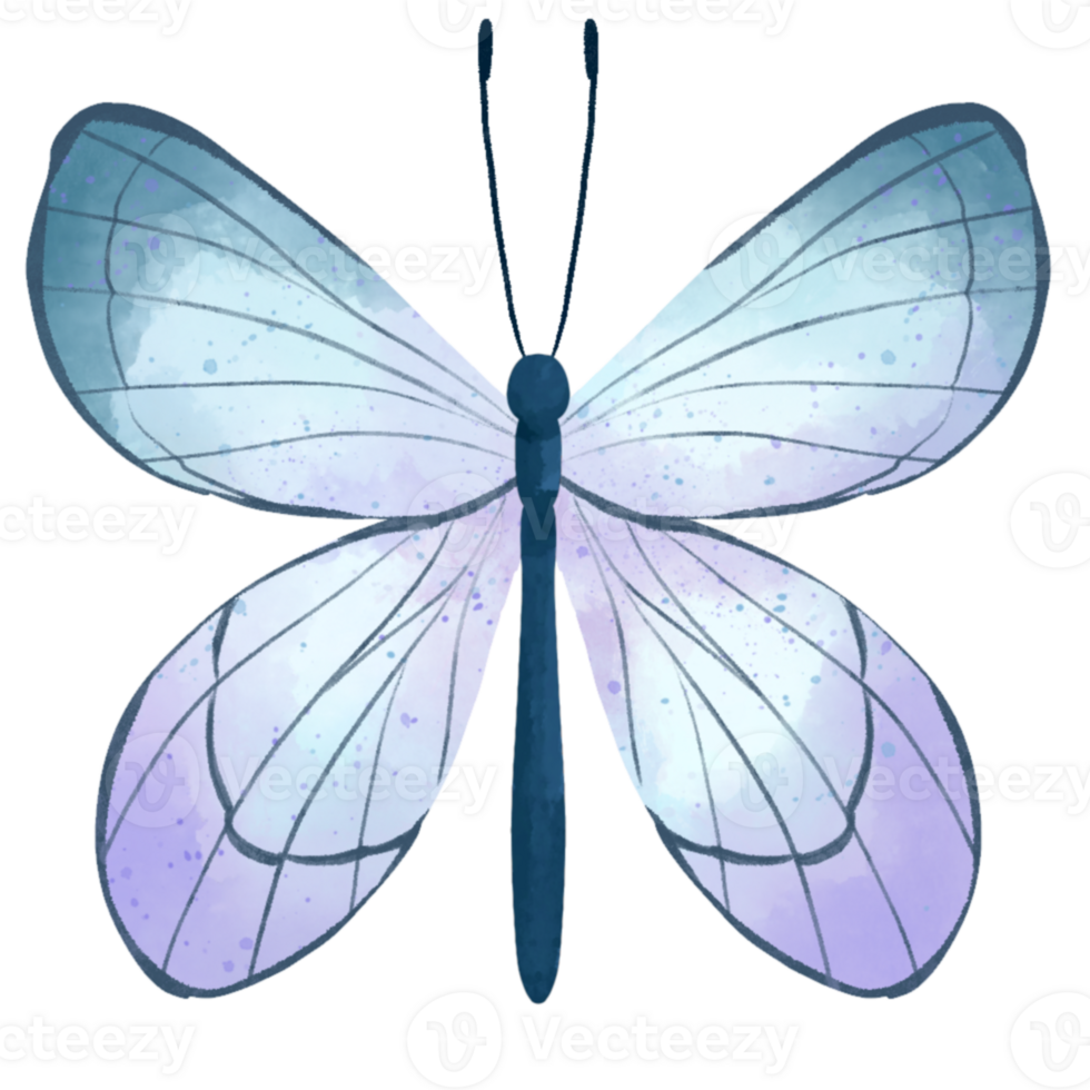 Watercolor butterfly hand drawn illustration png