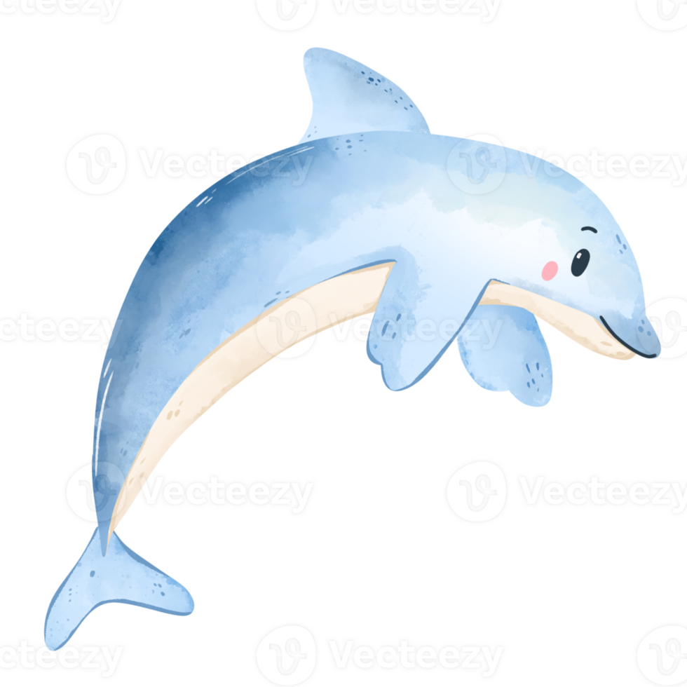 Watercolor dolphin illustration png