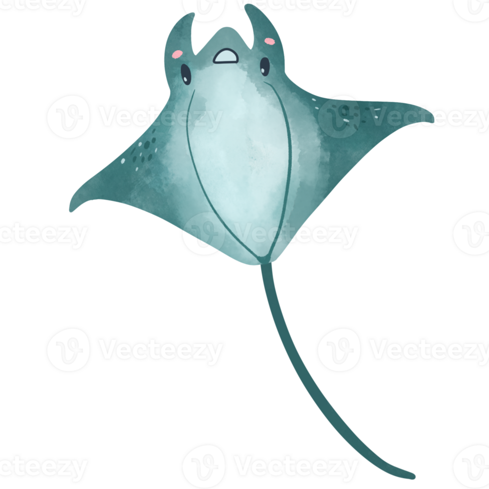 Watercolor manta ray illustration png
