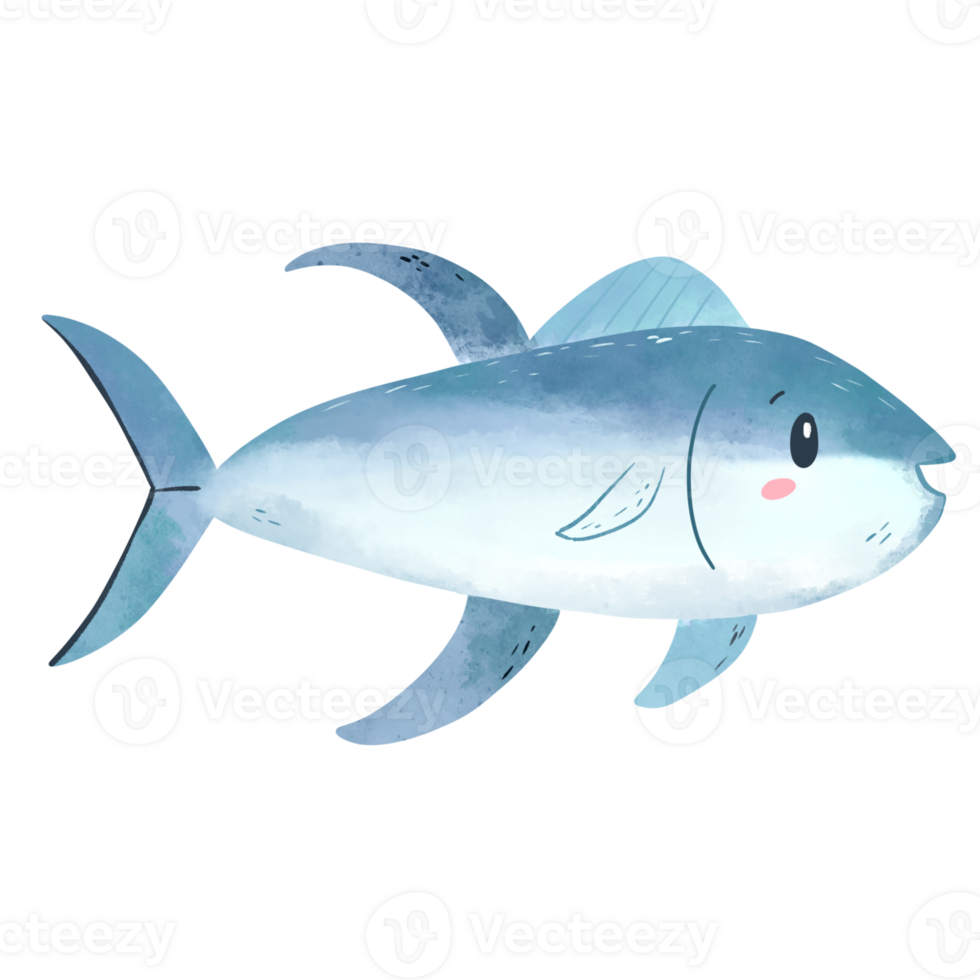 Watercolor makarel fish illustration png