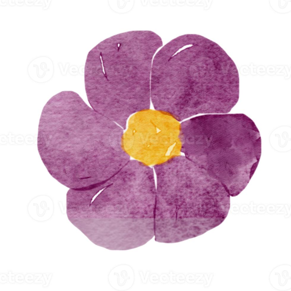 Watercolor purple flower illustration png