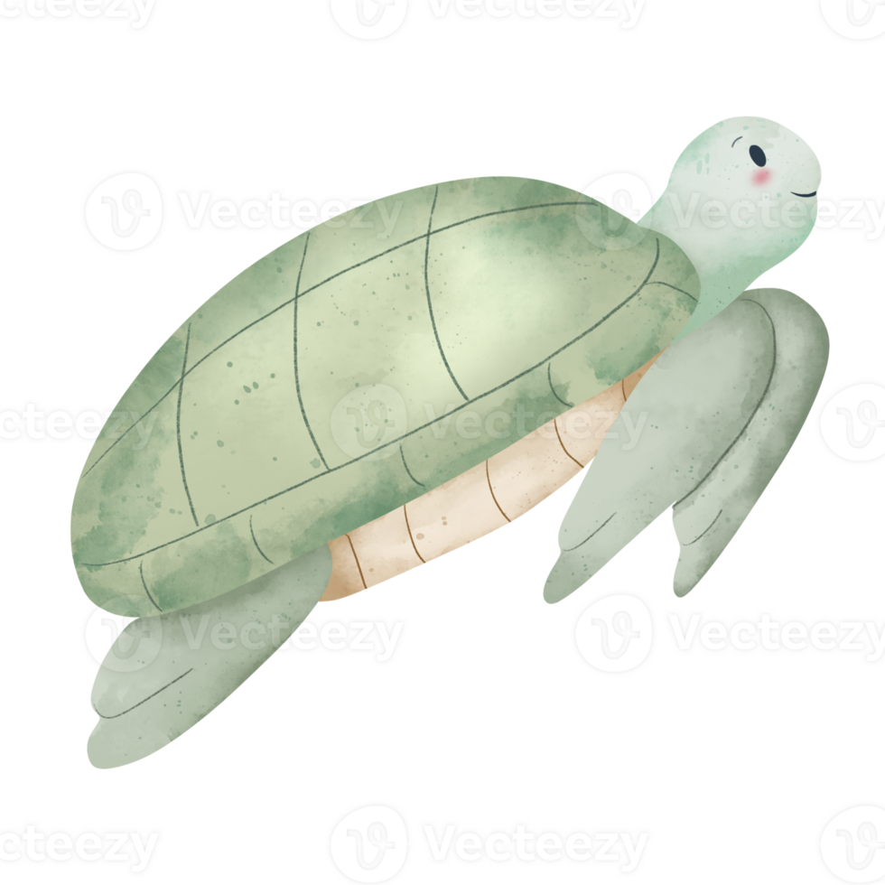 Watercolor swimming turtle illustration png