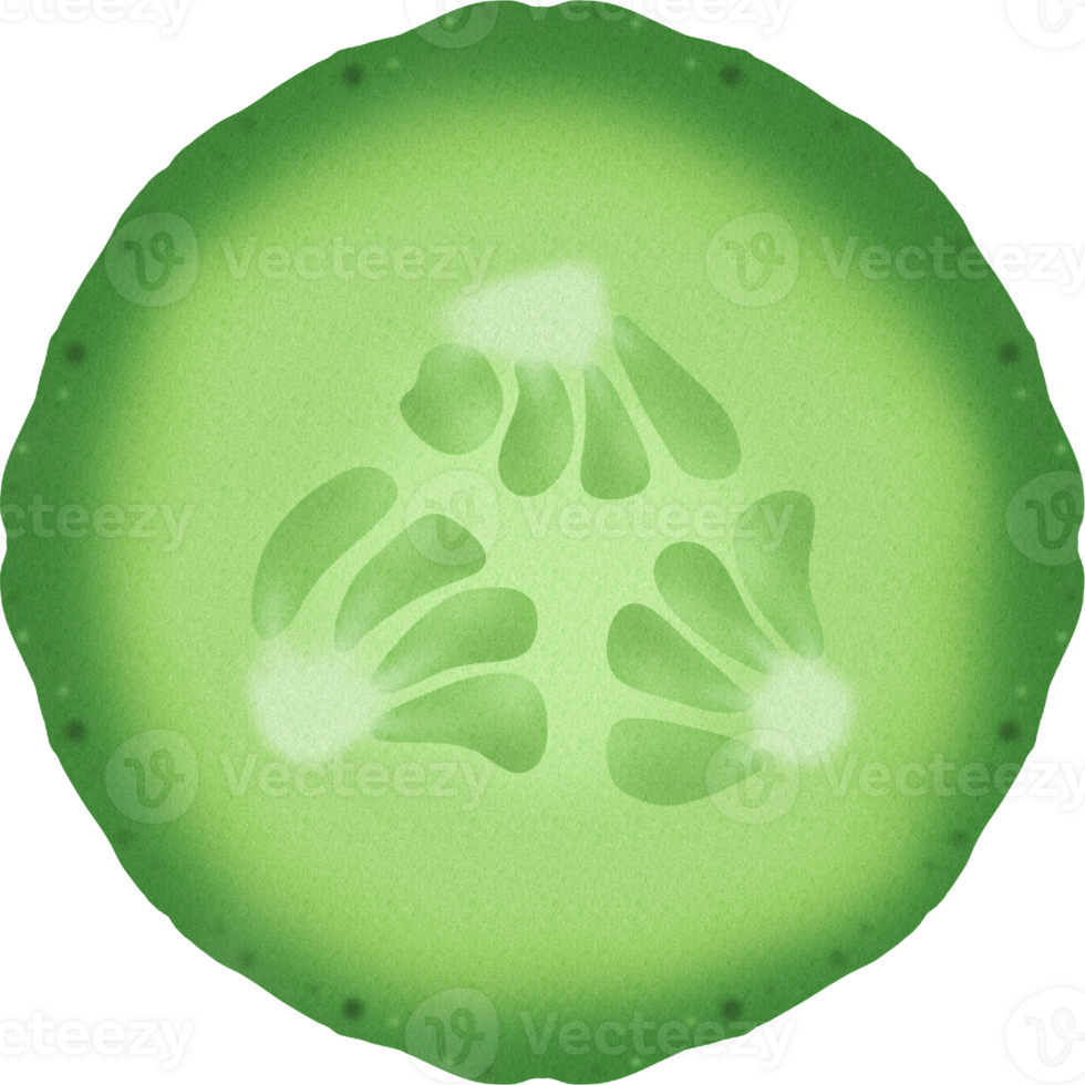 A cucumber Slice png