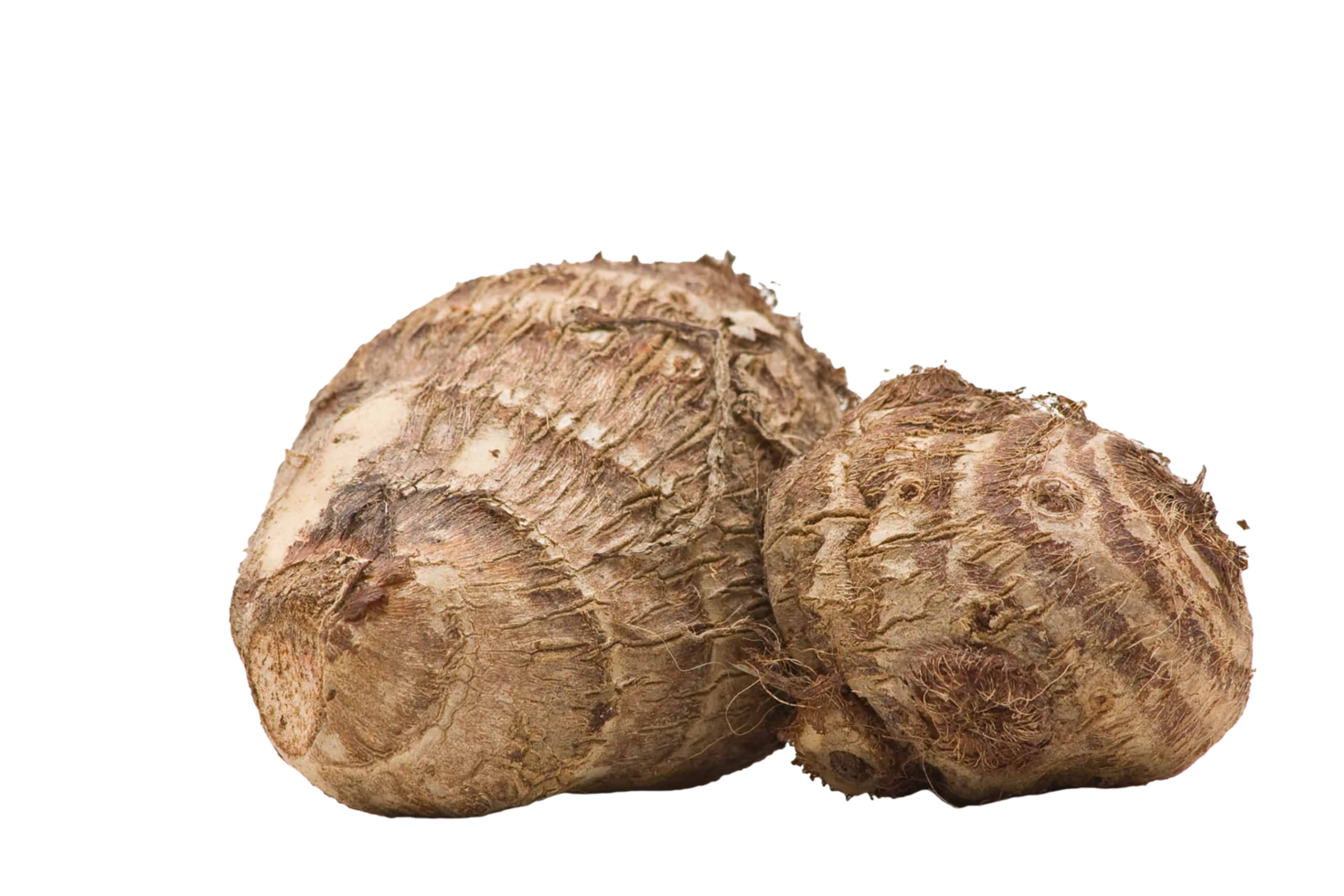 Two large, raw, uncooked, uncooked, uncooked, uncooked, uncooked png