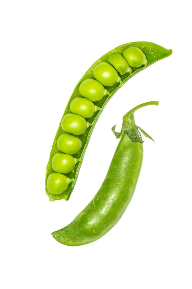 Pea pod and pea pod png