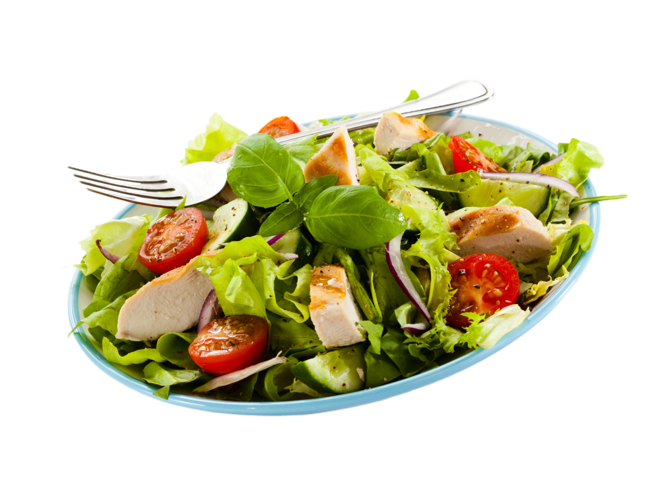 A plate with a salad and a fork png