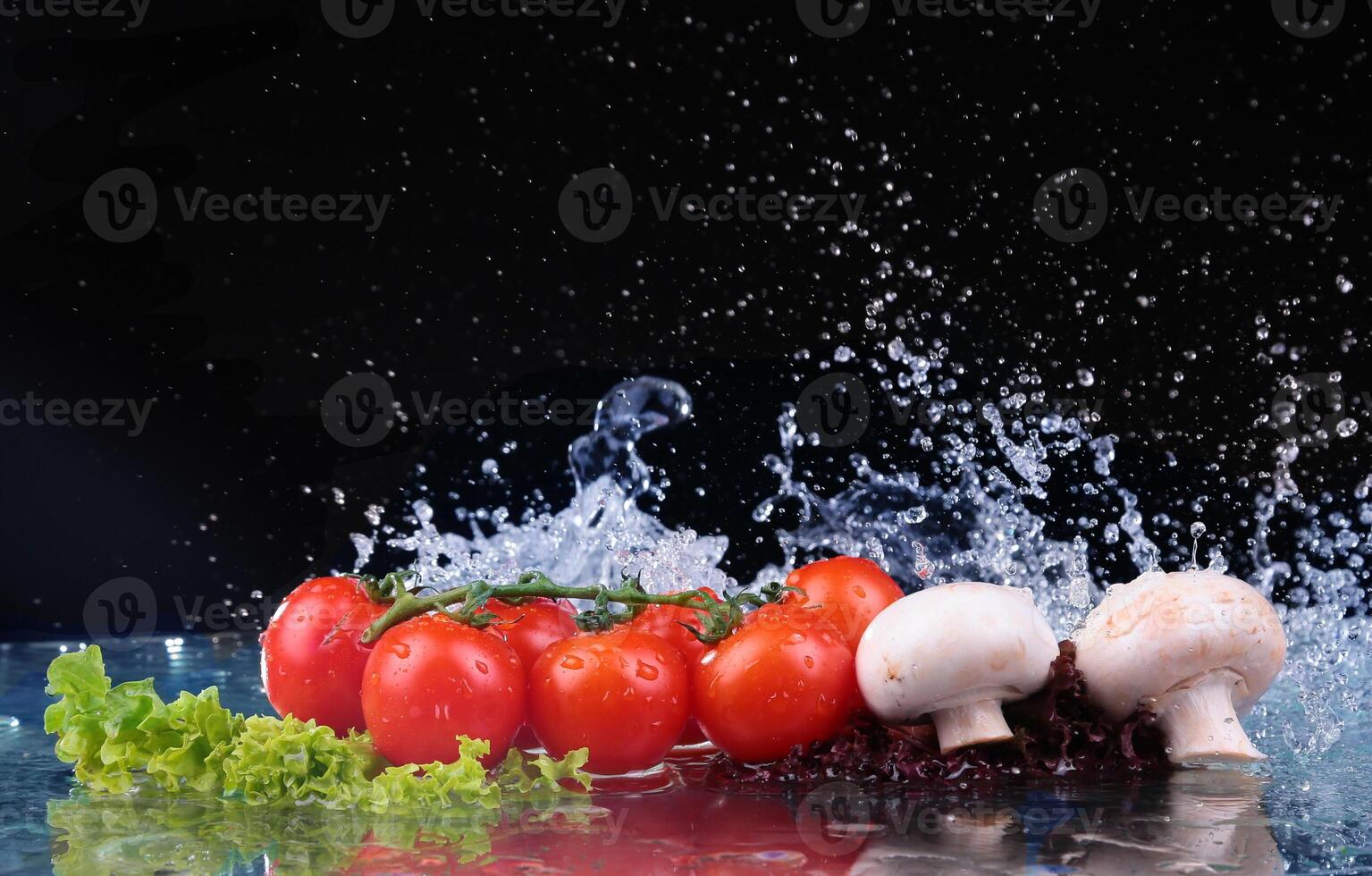 Salad, tomato and with water drop splash photo