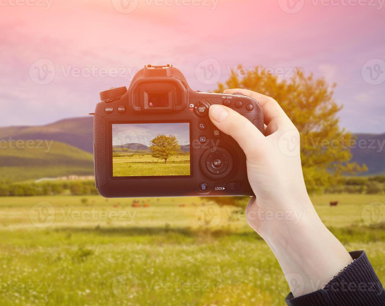 Female hand holding DSLR camera isolated on white photo