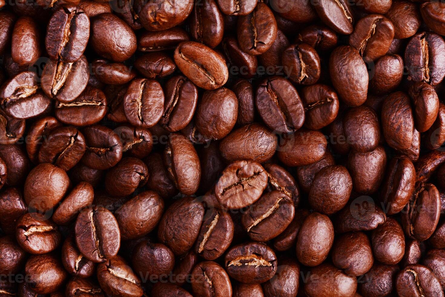 roasted coffee beans, can be used as a background photo