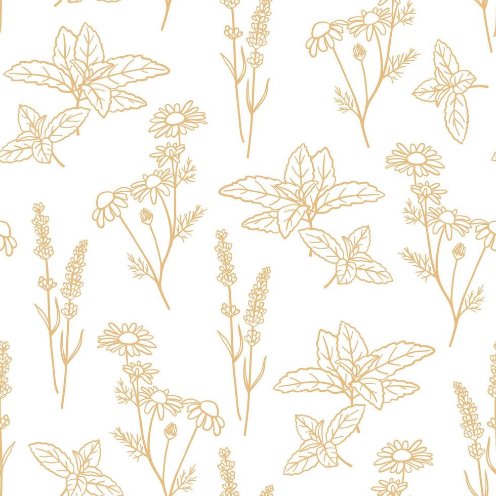 Seamless pattern with hand drawn herbs. Mint, chamomile and lavender plants in beige color. Design for fabric, wrapping, prints vector