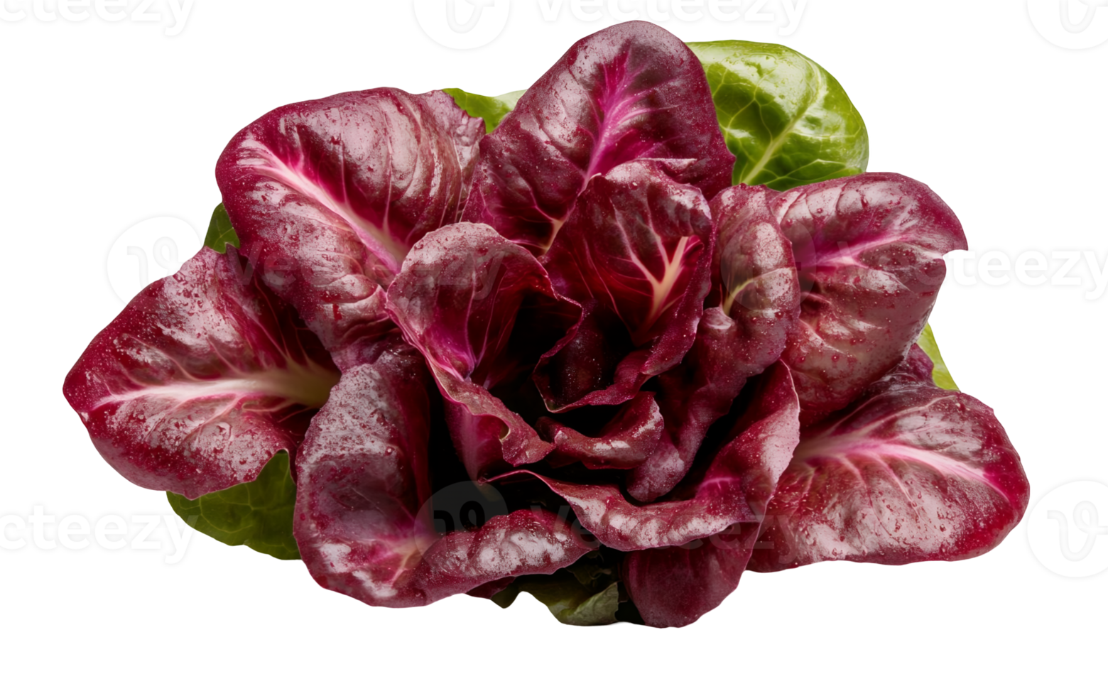 A red lettuce on a transparent background png