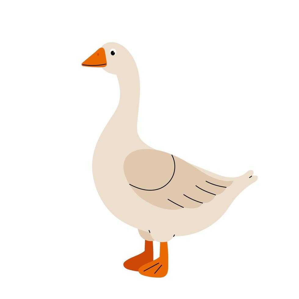 Illustration cute goose. Goose in hand drawn style. Farm bird isolated on white background. Domestic animal. vector