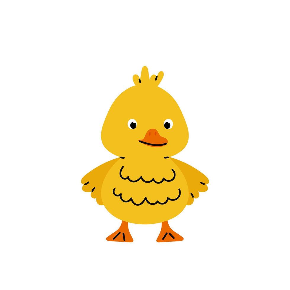 Little yellow duckling. Hand drawn farm animal cartoon design. Adorable baby duck illustration for sticker, clipart, education, Easter. vector