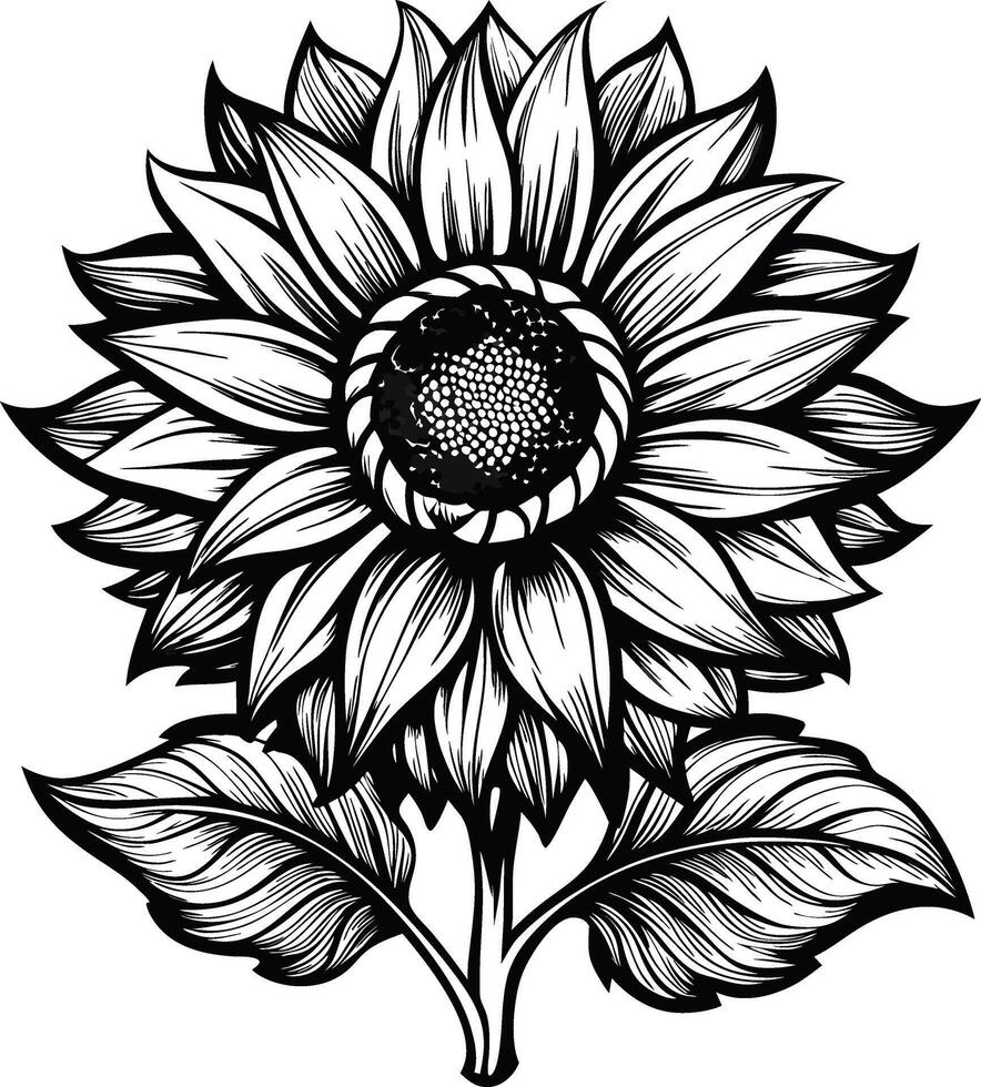 Sunflower Silhouette in Elegant Monochrome vector