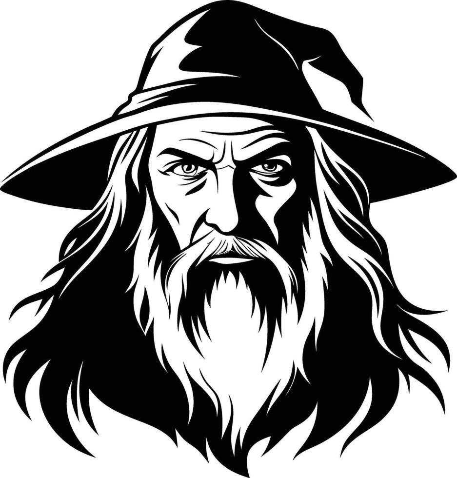 The Wise Wizard of the Shadowed Realms vector