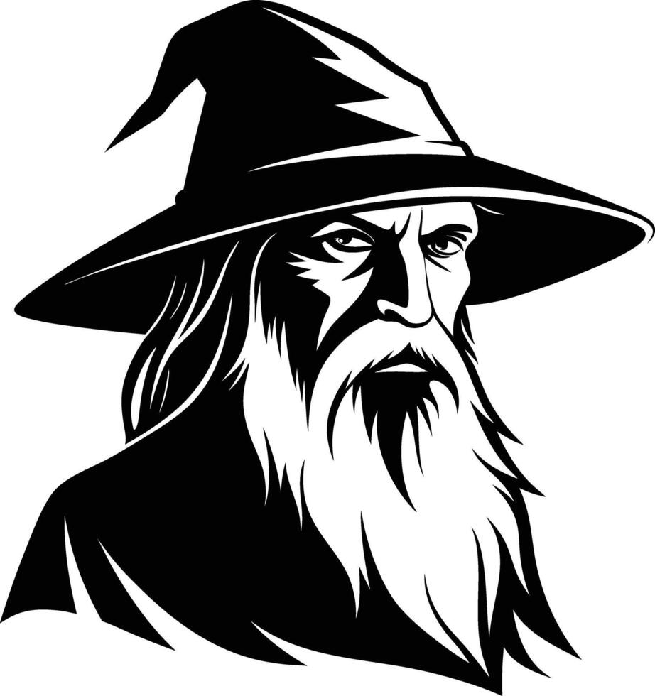 The Wizards Journey Through the Shadow vector