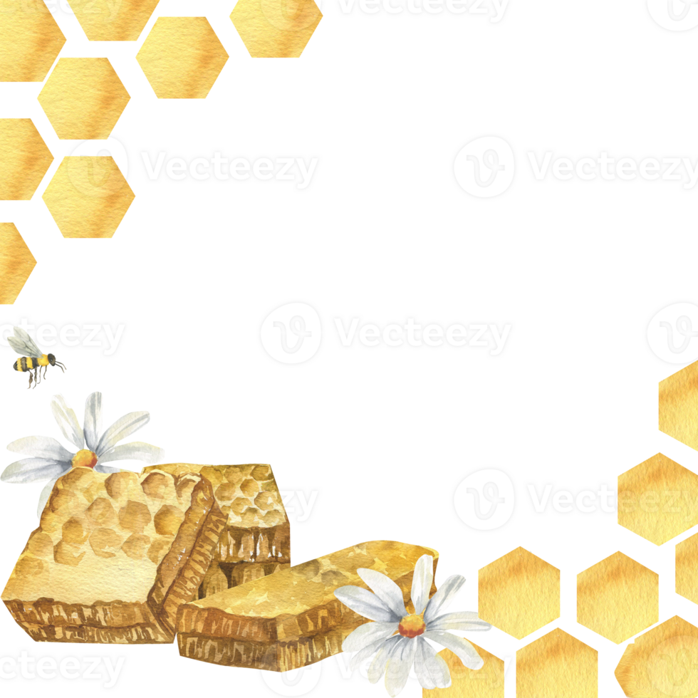 Organic honey watercolor square frame with honeycombs, chamomile flowers and bees. Hand drawn isolated template for eco farm food label, packing. Sweet snack for brunch menu design png