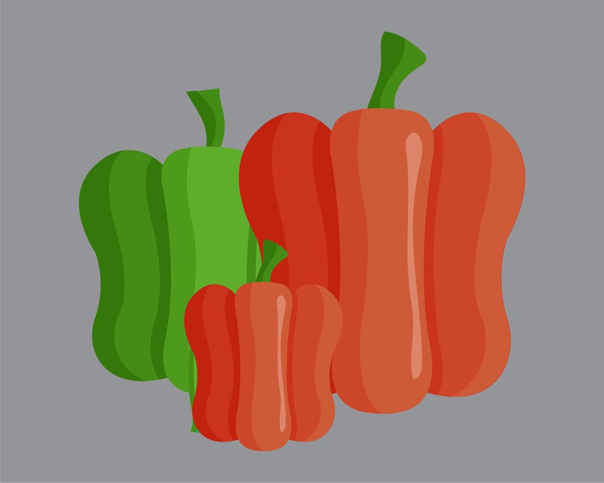 Three peppers on a gray background vector