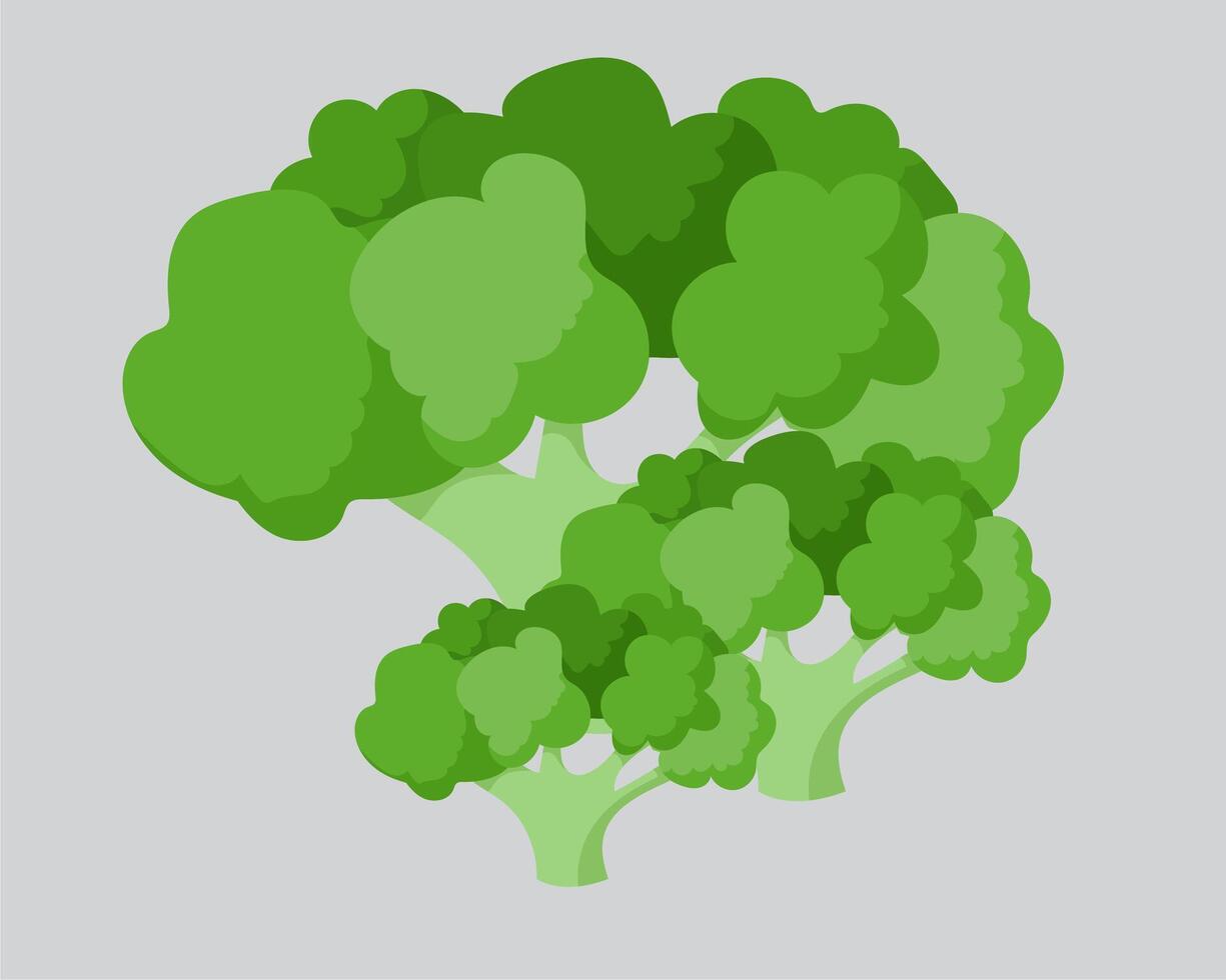 broccoli icon illustration vector