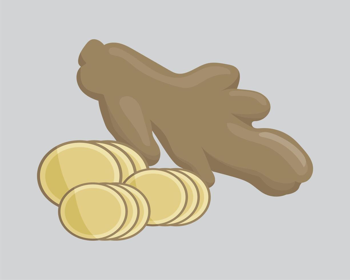 Ginger root and coins on a gray background vector