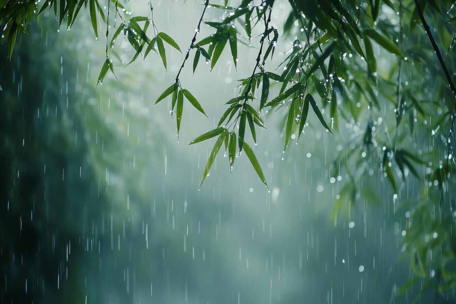 Gentle droplets fall on bamboo leaves in a peaceful green forest setting during early morning hours photo