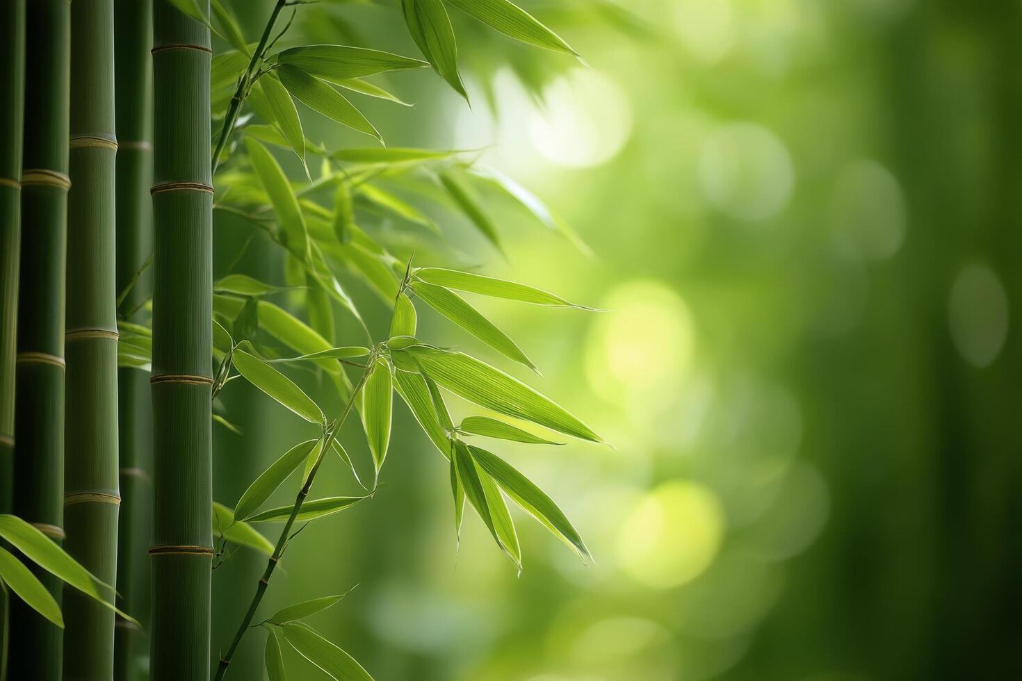 Bamboo stalks and lush green leaves in a tranquil garden setting during daylight hours photo