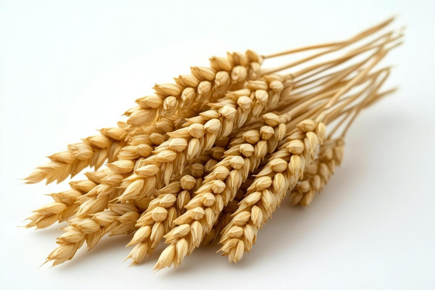 Golden wheat stalks swaying gently in a field under clear sky on a warm summer day photo