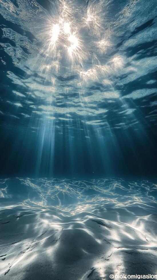 Sunlight filters through clear water, creating a serene, glowing underwater ambiance photo