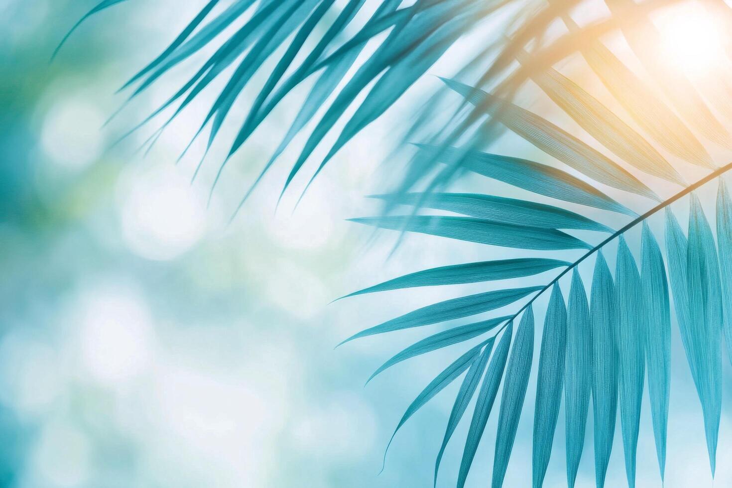 Close up of vibrant green palm leaves against a softly blurred background in a tropical setting photo
