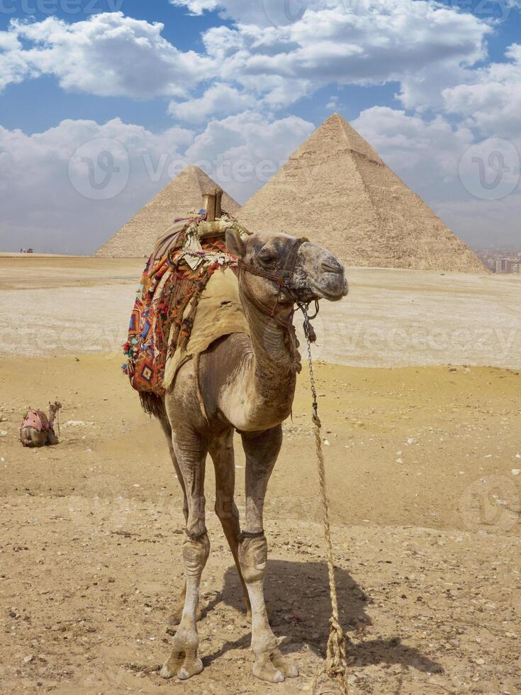 Egyptian pyramids in sand desert and clear sky photo